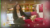 Pamela e Babà