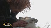 Elio e Hope, gli inseparabili amici di Cinzia Leone