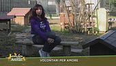 Volontari per amore