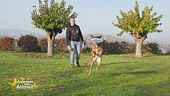 Il disc dog