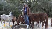 Gli specialissimi amici di: Al Bano Carrisi