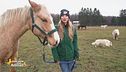 Progetto Islander: Nicole e i cavalli