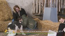 Argo con la sua nuova famiglia
