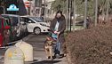 Le notizie di Lucky