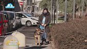 Le notizie di Lucky