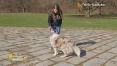 Impariamo divertendoci