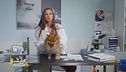 I consigli nutrizionali per cane affetto da patologia cardiaca