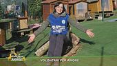 Volontari per amore