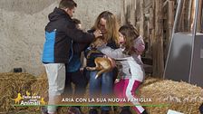La nuova famiglia di Aria