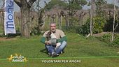 Volontari per amore