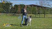 Impariamo divertendoci