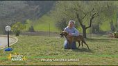 Volontari per amore