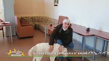 Il cane Cocò e la terapia d'amore