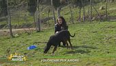 Volontari per amore