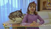 Che giochi piacciono ai gatti?