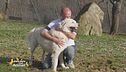 Volontari per amore