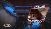Notizie dal mondo e  i video da casa