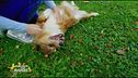 Le notizie dal mondo con Lucky