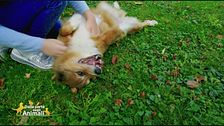 Le notizie dal mondo con Lucky