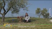 Volontari per amore