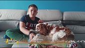 La domanda di Alessio