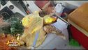 La tartaruga salvata da Antonio