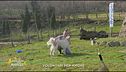 Volontari per amore