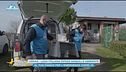 Leidaa - Lega italiana difesa animali e ambiente
