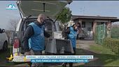 Leidaa - Lega italiana difesa animali e ambiente