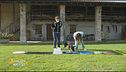 Cosa è una puppy class?