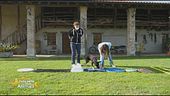 Cosa è una puppy class?