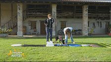 Cosa è una puppy class?
