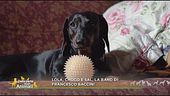 Lola, Choco e Sal, la band di: Francesco Baccini