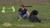 Volontari per amori