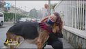 Difendiamo i diritti degli animali