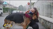 Difendiamo i diritti degli animali