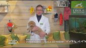 La sterilizzazione