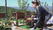 Il giusto riposo per i nostri 4 zampe
