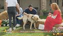 Zeus con la sua nuova famiglia