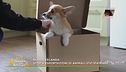 Notizie dal mondo con Lucky