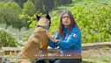 Gli stati emotivi dei cani