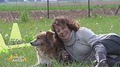 Volontari per amore