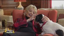 L'amore di casa Bonaccorti