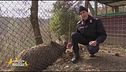 Un paradiso per gli animali in Umbria