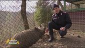 Un paradiso per gli animali in Umbria