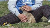 Birba, una cucciolina in cerca di famiglia