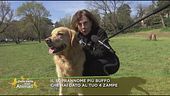 Qual è il soprannome buffo del vostro cagnolino?