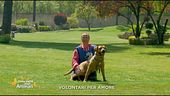 Volontari per amore
