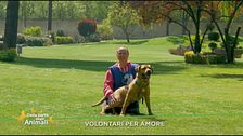 Volontari per amore