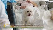 La signora Lola salvata dall'amore del suo cane